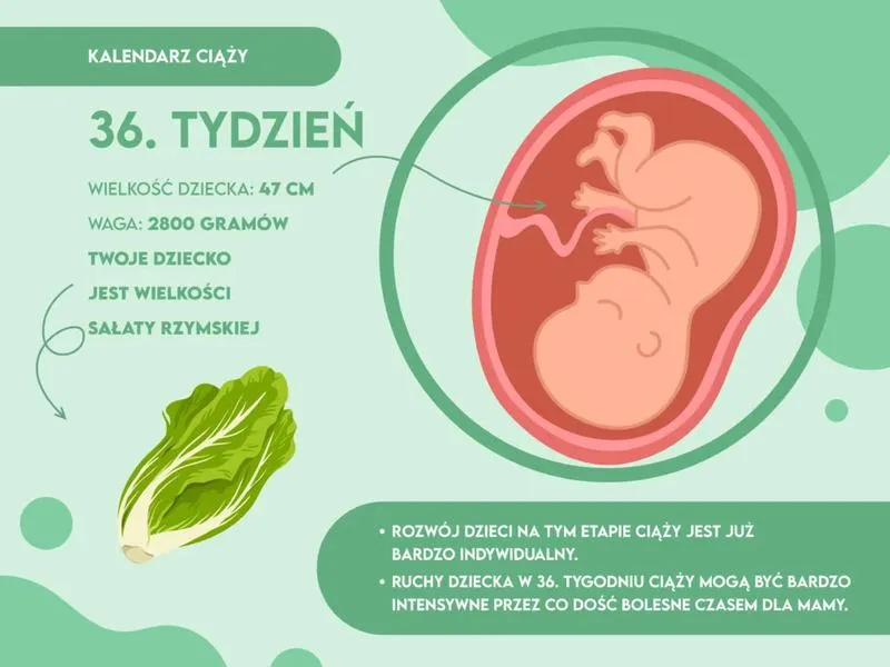 Czego Możesz Oczekiwać w 36 Tygodniu Ciąży – Jak Się Czujecie?