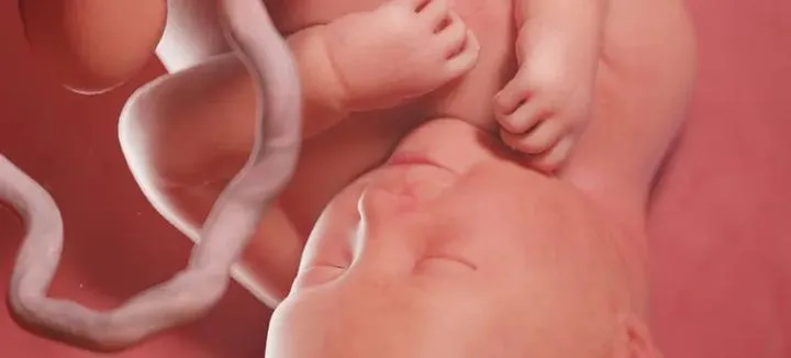 Czy pępowina zmienia się wraz z rozwojem dziecka? Odkryj kluczowe fakty