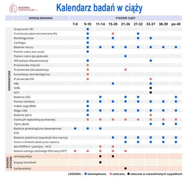 Jak często powinny być przeprowadzane badania w ciąży?