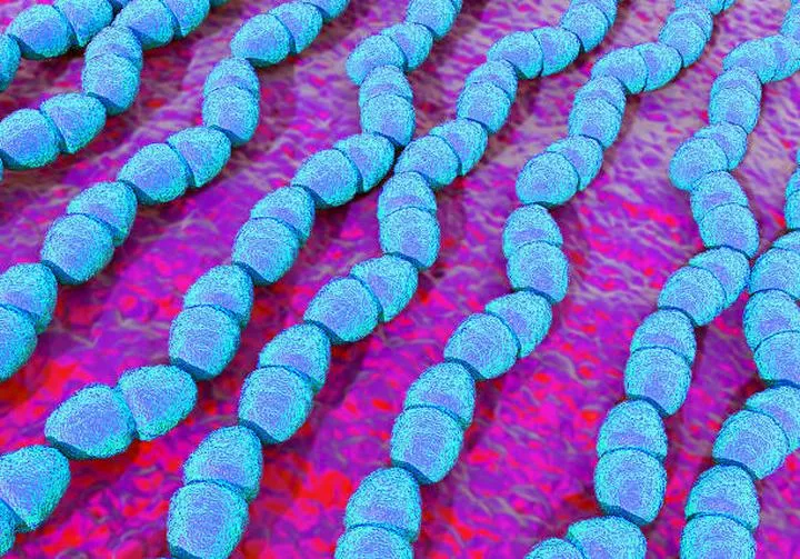 Jak naturalnie pokonałam enterococcus faecalis w ciąży: moja historia i skuteczne metody