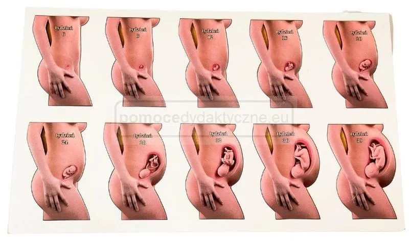 Jak z radością oznajmić rodzicom, że jestem w ciąży?