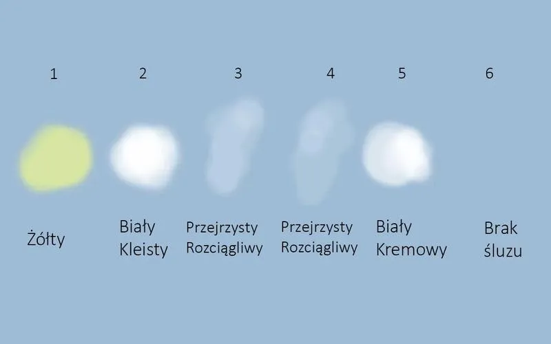 Jak zmienia się śluz w czasie ciąży? Oto, co warto wiedzieć
