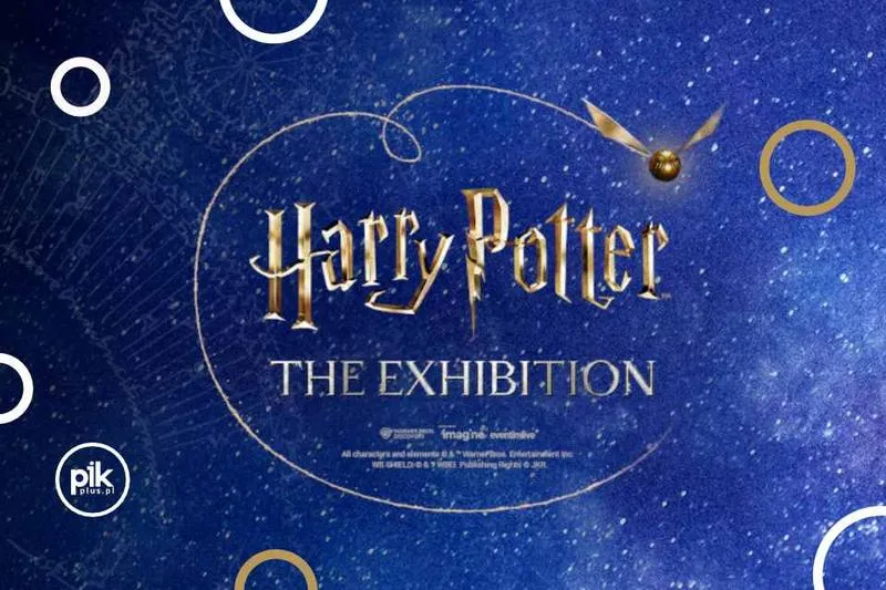 Odkryj magiczny świat: najlepsze zabawki z sową z Harry'ego Pottera, które oczarują każde dziecko