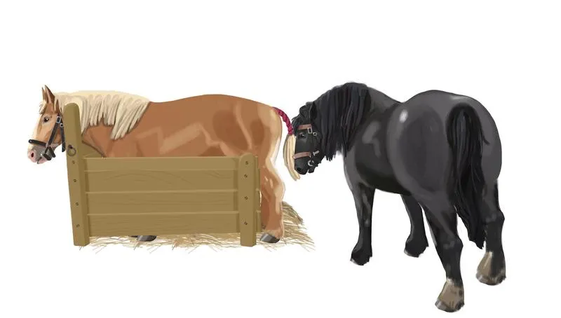 Cykl reprodukcyjny koni