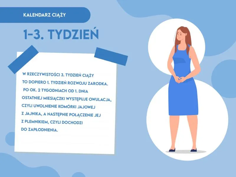 Miesiączka w ciąży