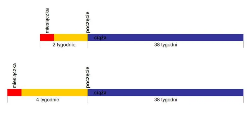 Ostatnia miesiączka a termin porodu