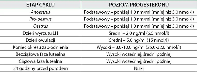 Progesteron w ciąży