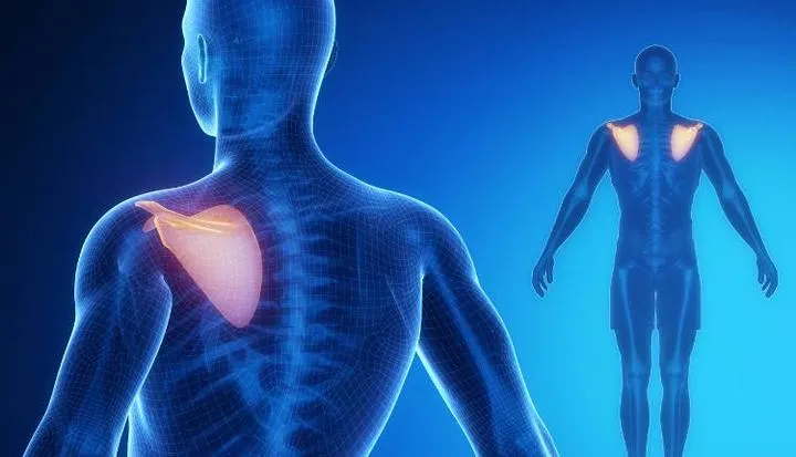 Przyczyny i objawy bólu pleców