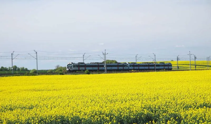 Przygotowanie dziecka do podróży pociągiem