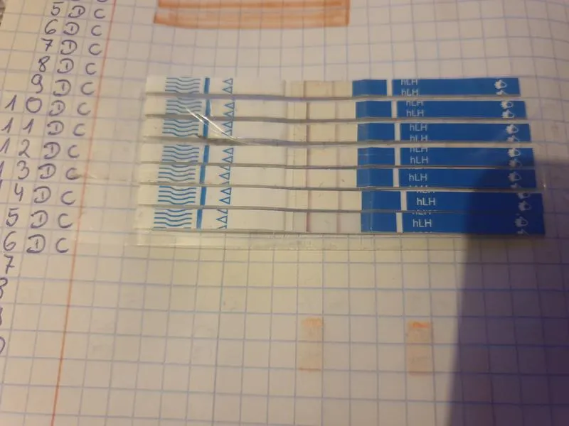 Skuteczność testów owulacyjnych