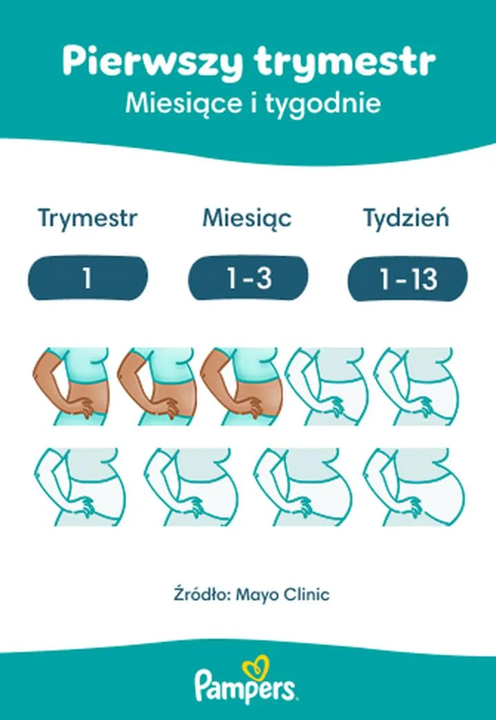 Trymestry ciąży krok po kroku
