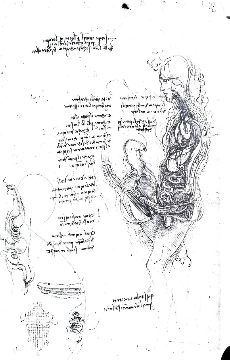 Wpływ orgazmu na poród