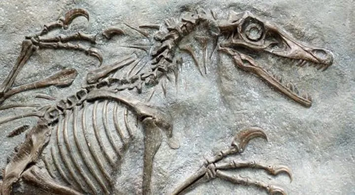 Zabawki edukacyjne z dinozaurami