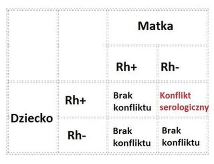 Zarządzanie konfliktem serologicznym