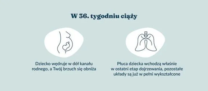 Zmiany fizyczne w ciąży